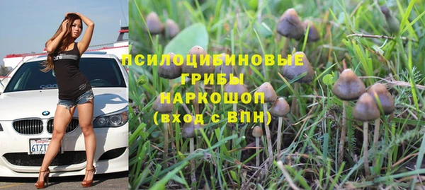 стаф Абинск