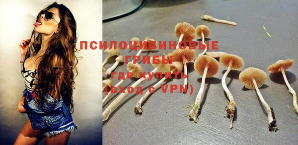 a pvp Алексеевка