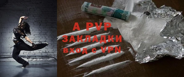 стаф Абинск