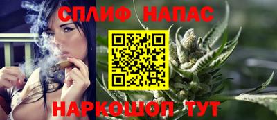 гашик Дубна