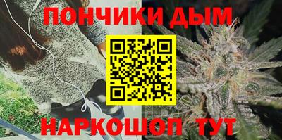 гашик Дубна