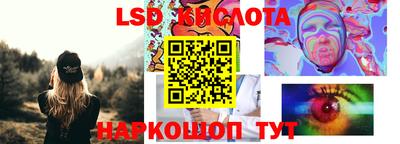 гашик Дубна
