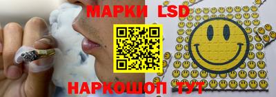 индика Донецк