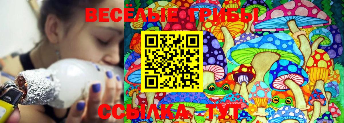 Галлюциногенные грибы мицелий Назрань