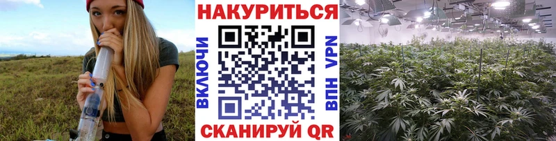 Конопля AK-47  что такое   mega онион  Назрань 